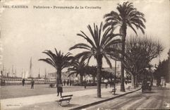 CPA Cannes Palmiers Promenade de la Croisette 