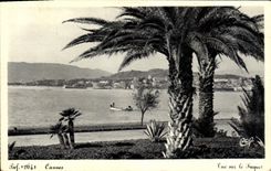 CPA Cannes Vue sur la Touquet 