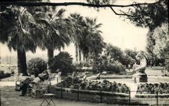 CPA Cannes Un Coin des Jardins 
