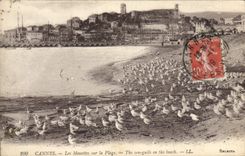 CPA Cannes Les Mouettes sur la Plage 