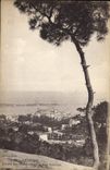 CPA Cannes Entre les Pins Croix des Gardens 