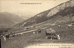 CPA Sites Pittoresque de Savoie Route de la Clusaz au Col des Aravis Paturage Alpestres Vaches