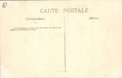 CPA Les Aravis et le Mont Blanc 