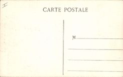 CPA Sites Pittoresques de Savoie Chamonix L'Aiguille du Dru 