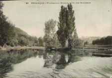 CPA Besancon Promenade Micaud L'lle des Moineaux 