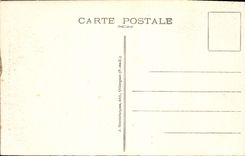 CPA Vichy Dans les Grands Parcs Bassin des Cygnes 