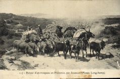 CPA Retour d'un troupeau en Provence par Jourdan Musee Longchamp 