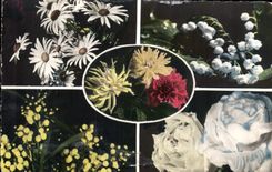 CPA Les Quatre Saisons Fleurs
