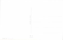 CPA Fantaisie Fleurs