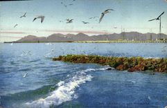 CPA Cannes Les Mouettes 