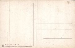 CPA Bluhende Kastanien 