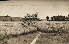 CPA Quignon Avoines en Fleurs Musee du Luxembourg 