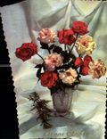 CPA Bonne Annee Fleurs