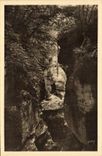 CPA Gorges du Fier Hte Savoie Les beaux Hetres 