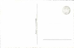 CPA Chateau de Chillon et Dents du Midi 