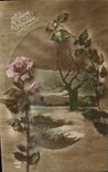 CPA Bonne Annee Fleurs