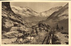 CPA Les Alpes le Chazelet en route pour les Paturages 