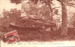 CPA Foret de Fontainebleau la Tortue Gorges d'Apremont 