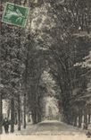 CPA Villeneuve sur Yonne Boulevard Victor Hugo 