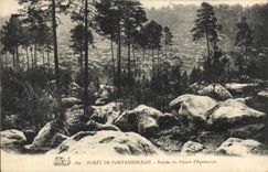 CPA Foret de Fontainebleau Entree du Desert d'Apremont 