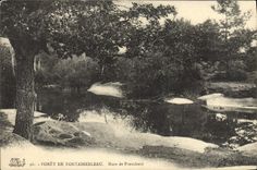 CPA Foret de Fontainebleau Mare de Franchard 