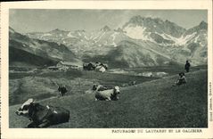 CPA Paturages du Lautaret et le Galibier Vaches