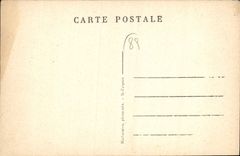 CPA St Fargeau Yonne Chateau et piece d'eau