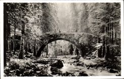 CPA Gerardmer Le Pont des Fees 