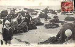 CPA Trouville Les Rochers Noirs 