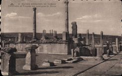 CPA Ruines romaines de Timgad Colonades et Tribunes aux harangues du Forum 