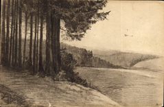 CPA Am Waldrand Studien aus dem Schwarzwald 