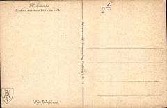 CPA Am Waldrand Studien aus dem Schwarzwald 