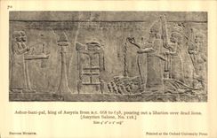 CPA British Museum Ashur bani pal king of Assyria pourting out a libation over dead lions 
