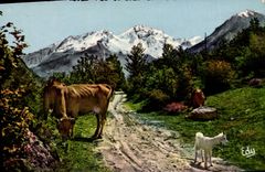 CPA Images de Chez Nous Les Hotes de Nos Montagnes Vaches