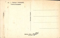 CPA Trolle d'Europe Fleurs
