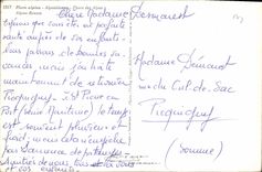 CPA Flora alpina Alpenblumen Fleura des Alpes 