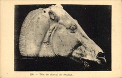 CPA Tete de Cheval de Phidias 