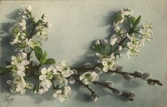 CPA Fantaisie Fleurs