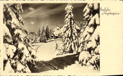 CPA Herzliche Neujahrsgrusse 