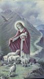 Image Christ Moutons