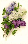 CPA Bonne et Heureux Fete Fleurs