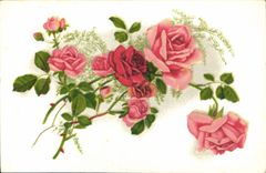 CPA Fleurs Gil Fleurs