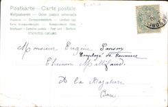 CPA Fai Bien recu votre carte mille fois merci Fleurs Oiseaux