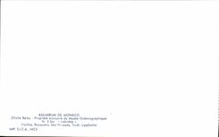 CPA Aquarium de Monaco Cliche Barba Propriete exclusive du Musee Oceanographique Vieilles Rouquiers 