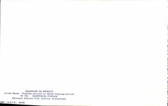 CPA Aquarium de Monaco Cliche Barba Propriete exclusive du Musee Oceanographique Scorpaena Porcus Po