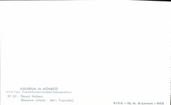 CPA Aquarium de Monaco Cliche Trabut Propriete exclusive du Musee Oceanographique Pterois Volitans R