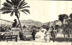 CPA Nice Vue du Jardin Public 