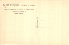 CPA Chateau de Blois Cheminee de la Salamandre Embleme de Francois Ier 