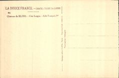 CPA Chateau de Blois Une Loggin Aile Francois Ier 
