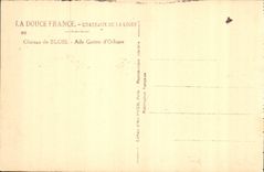 CPA Chateau de Blois Aile Gaston d'Orleans 